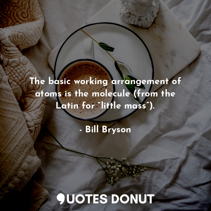  The basic working arrangement of atoms is the molecule (from the Latin for “litt... - Bill Bryson - Quotes Donut