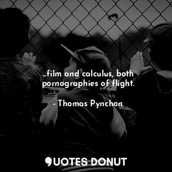 ...film and calculus, both pornographies of flight.