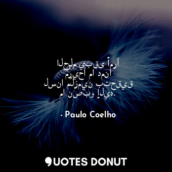  الحلم يبقى أمرًا مُريحًا ما دمنا لسنا مُلزمين بتحقيق ما نصبو إليه.... - Paulo Coelho - Quotes Donut