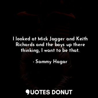 I looked at Mick Jagger and Keith Richards and the boys up there thinking, I want to be that.