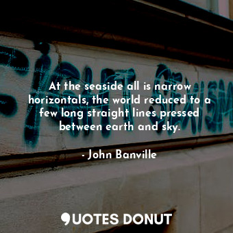  At the seaside all is narrow horizontals, the world reduced to a few long straig... - John Banville - Quotes Donut
