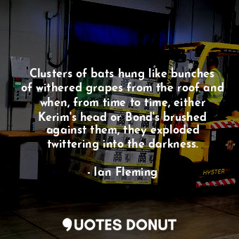  Clusters of bats hung like bunches of withered grapes from the roof and when, fr... - Ian Fleming - Quotes Donut