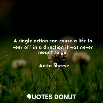  A single action can cause a life to veer off in a direction it was never meant t... - Anita Shreve - Quotes Donut