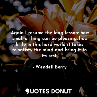 Again I resume the long lesson: how small a thing can be pleasing, how little in this hard world it takes to satisfy the mind and bring it to its rest.