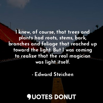 I knew, of course, that trees and plants had roots, stems, bark, branches and foliage that reached up toward the light. But I was coming to realize that the real magician was light itself.