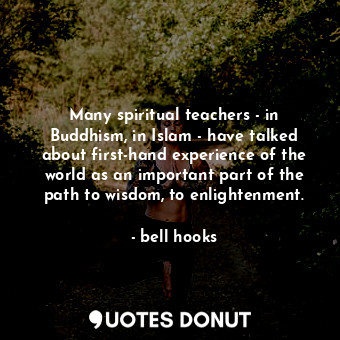 Many spiritual teachers - in Buddhism, in Islam - have talked about first-hand experience of the world as an important part of the path to wisdom, to enlightenment.