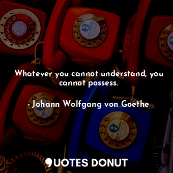 Whatever you cannot understand, you cannot possess.... - Johann Wolfgang von Goethe - Quotes Donut