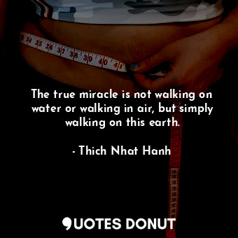 The true miracle is not walking on water or walking in air, but simply walking on this earth.