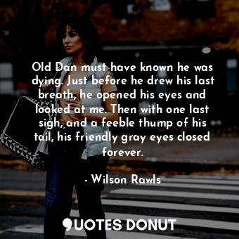 Old Dan must have known he was dying. Just before he drew his last breath, he op... - Wilson Rawls - Quotes Donut