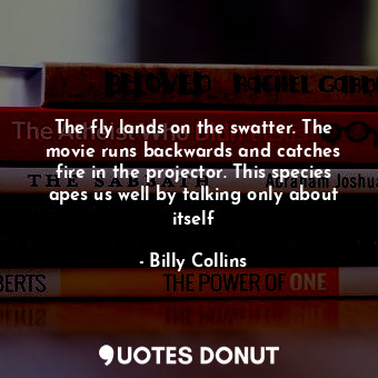  The fly lands on the swatter. The movie runs backwards and catches fire in the p... - Billy Collins - Quotes Donut