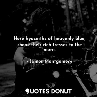  Here hyacinths of heavenly blue, shook their rich tresses to the morn.... - James Montgomery - Quotes Donut