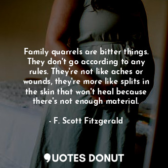 Family quarrels are bitter things. They don't go according to any rules. They're not like aches or wounds, they're more like splits in the skin that won't heal because there's not enough material.
