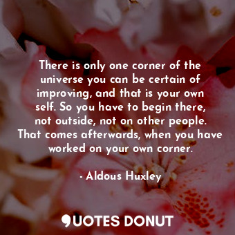 There is only one corner of the universe you can be certain of improving, and that is your own self. So you have to begin there, not outside, not on other people. That comes afterwards, when you have worked on your own corner.