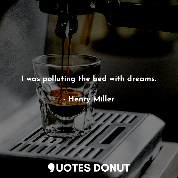 I was polluting the bed with dreams.