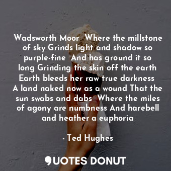  Wadsworth Moor  Where the millstone of sky Grinds light and shadow so purple-fin... - Ted Hughes - Quotes Donut