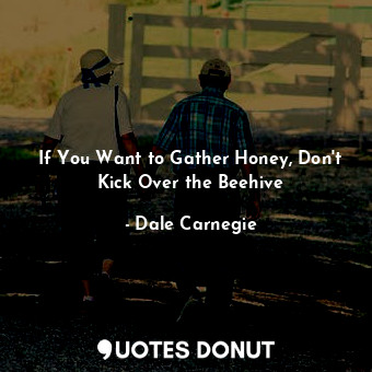  If You Want to Gather Honey, Don't Kick Over the Beehive... - Dale Carnegie - Quotes Donut