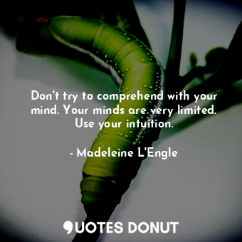 Don't try to comprehend with your mind. Your minds are very limited. Use your intuition.
