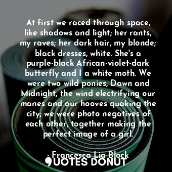  At first we raced through space, like shadows and light; her rants, my raves; he... - Francesca Lia Block - Quotes Donut