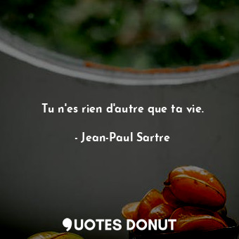  Tu n'es rien d'autre que ta vie.... - Jean-Paul Sartre - Quotes Donut