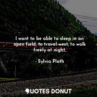 I want to be able to sleep in an open field, to travel west, to walk freely at night.