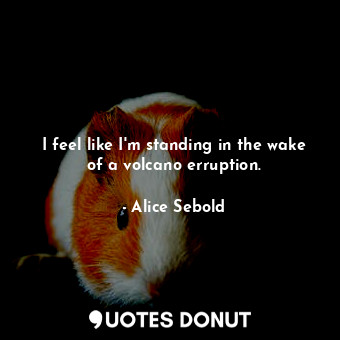  I feel like I'm standing in the wake of a volcano erruption.... - Alice Sebold - Quotes Donut