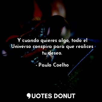  Y cuando quieres algo, todo el Universo conspira para que realices tu deseo.... - Paulo Coelho - Quotes Donut