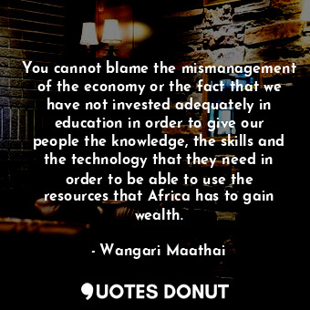 You cannot blame the mismanagement of the economy or the fact that we have not invested adequately in education in order to give our people the knowledge, the skills and the technology that they need in order to be able to use the resources that Africa has to gain wealth.