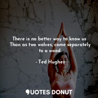 There is no better way to know us  Than as two wolves, come separately to a wood.