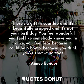  There's a gift in your lap and it's beautifully wrapped and it's not your birthd... - Aimee Bender - Quotes Donut