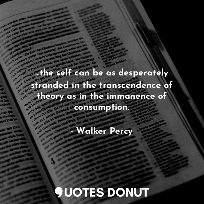 ...the self can be as desperately stranded in the transcendence of theory as in the immanence of consumption.