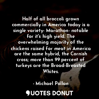 Half of all broccoli grown commercially in America today is a single variety- Marathon- notable for it's high yield. The overwhelming majority of the chickens raised for meat in America are the same hybrid, the Cornish cross; more than 99 percent of turkeys are the Broad-Breasted Whites.