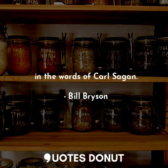  in the words of Carl Sagan.... - Bill Bryson - Quotes Donut