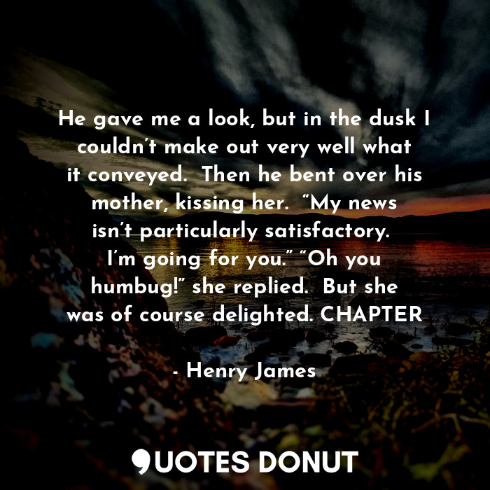  He gave me a look, but in the dusk I couldn’t make out very well what it conveye... - Henry James - Quotes Donut