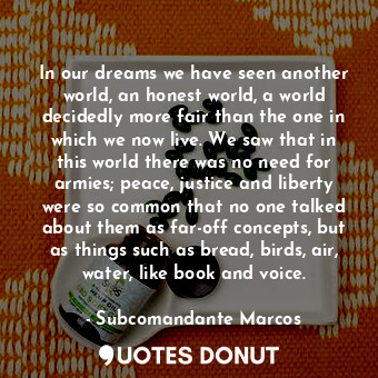In our dreams we have seen another world, an honest world, a world decidedly more fair than the one in which we now live. We saw that in this world there was no need for armies; peace, justice and liberty were so common that no one talked about them as far-off concepts, but as things such as bread, birds, air, water, like book and voice.