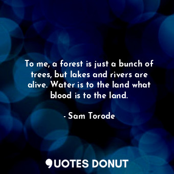 To me, a forest is just a bunch of trees, but lakes and rivers are alive. Water is to the land what blood is to the land.