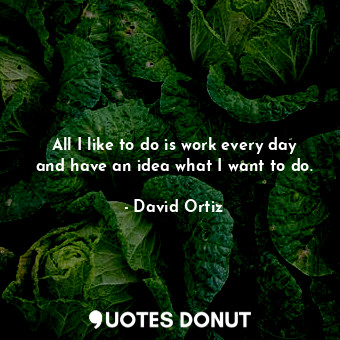 All I like to do is work every day and have an idea what I want to do.