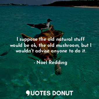 I suppose the old natural stuff would be ok, the old mushroom, but I wouldn&#39;t advise anyone to do it.