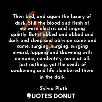  Then bed, and again the luxury of dark. Still the blood and flesh of me were ele... - Sylvia Plath - Quotes Donut