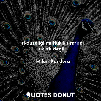  Tekdüzeliği mutluluk üretirdi, sıkıntı değil.... - Milan Kundera - Quotes Donut