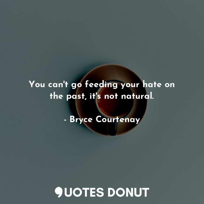  You can't go feeding your hate on the past, it's not natural.... - Bryce Courtenay - Quotes Donut