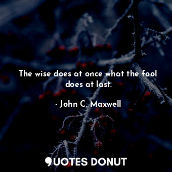  The wise does at once what the fool does at last.... - John C. Maxwell - Quotes Donut
