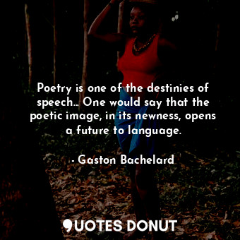 Poetry is one of the destinies of speech... One would say that the poetic image, in its newness, opens a future to language.