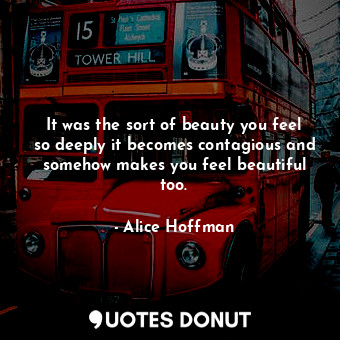  It was the sort of beauty you feel so deeply it becomes contagious and somehow m... - Alice Hoffman - Quotes Donut