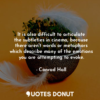 It is also difficult to articulate the subtleties in cinema, because there aren&#39;t words or metaphors which describe many of the emotions you are attempting to evoke.