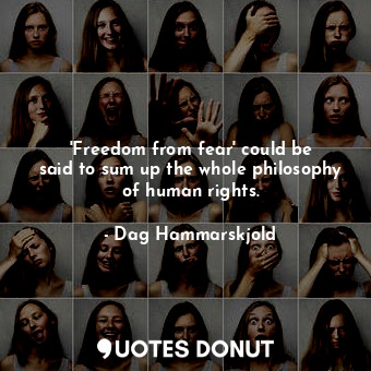 &#39;Freedom from fear&#39; could be said to sum up the whole philosophy of human rights.