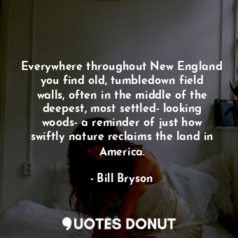  Everywhere throughout New England you find old, tumbledown field walls, often in... - Bill Bryson - Quotes Donut
