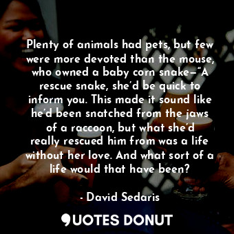 Plenty of animals had pets, but few were more devoted than the mouse, who owned a baby corn snake—“A rescue snake, she’d be quick to inform you. This made it sound like he’d been snatched from the jaws of a raccoon, but what she’d really rescued him from was a life without her love. And what sort of a life would that have been?