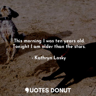  This morning I was ten years old. Tonight I am older than the stars.... - Kathryn Lasky - Quotes Donut