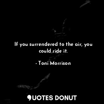 If you surrendered to the air, you could ride it.