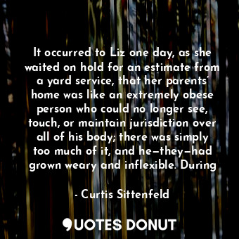  It occurred to Liz one day, as she waited on hold for an estimate from a yard se... - Curtis Sittenfeld - Quotes Donut